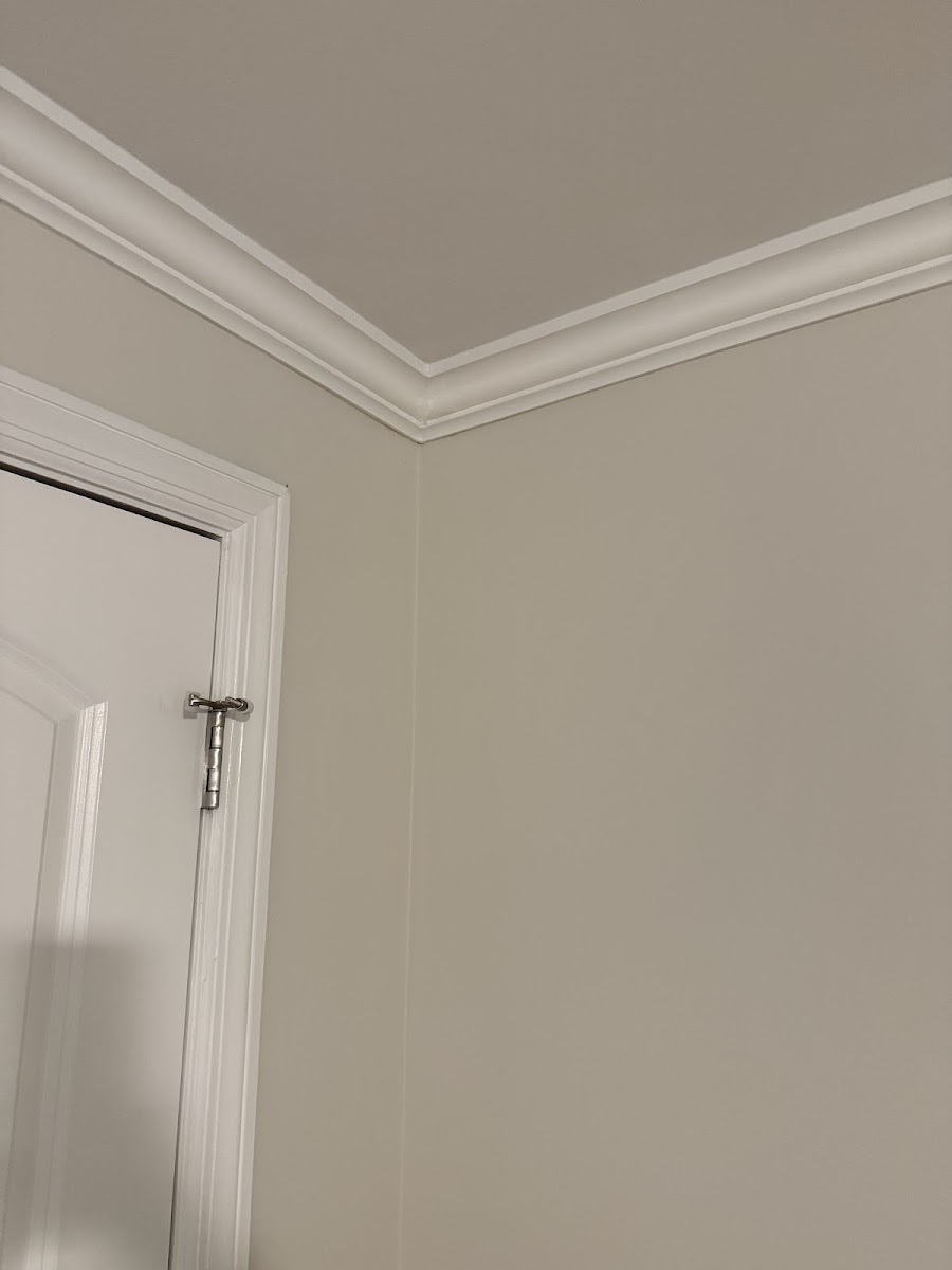 Freshly installed and painted crown molding